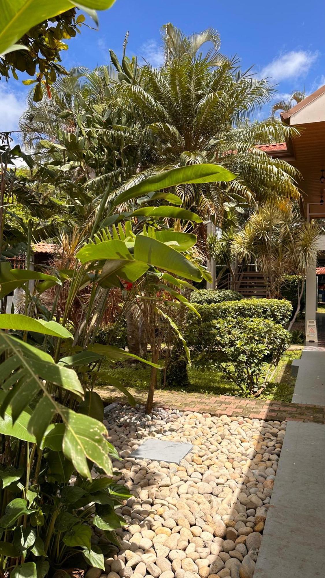 Brillasol Airport Hotel Las Ciruelas  Exterior foto